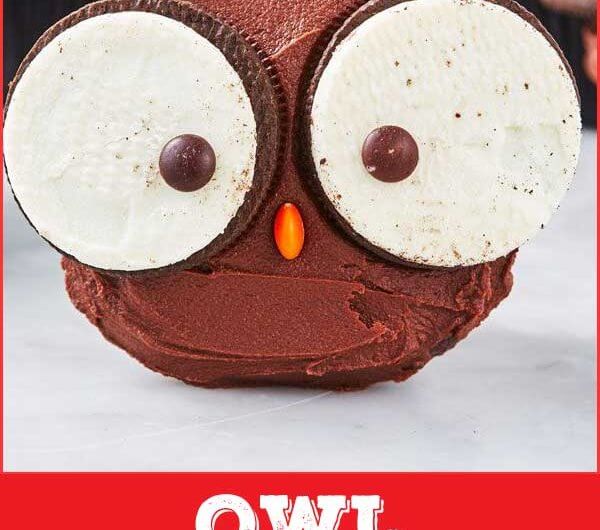 Owl Cupcakes